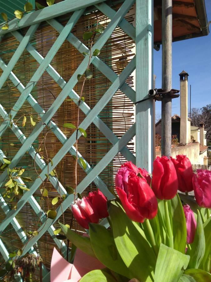 The Nest Apartment Grosseto Luaran gambar
